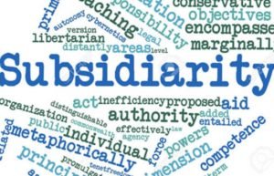 Subsidiariedad y neoliberalismo: ¿Alianza estratégica?